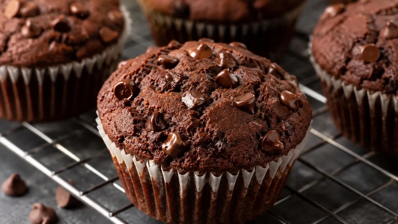 Ultimate Extra Rich Chocolate Chip Muffins Ultimate Extra Rich Chocolate Chip Muffins